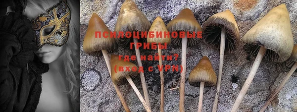 а пвп мука Абдулино
