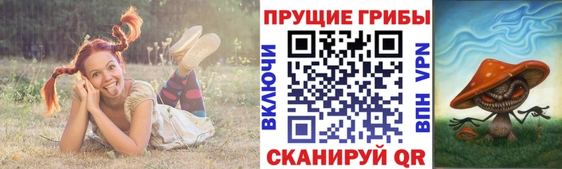 кракен зеркало  Сусуман  Псилоцибиновые грибы мицелий 